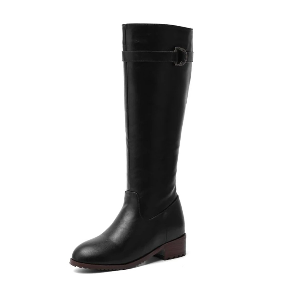 Knee High Boots Women Ponted T - Riding Boot Short review and price